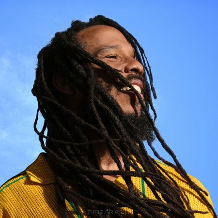 ZIGGY MARLEY  Brightside