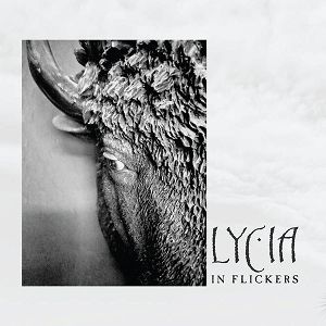 LYCIA  In Flickers