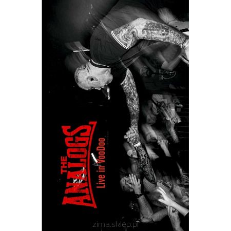 THE ANALOGS  Live in VooDoo