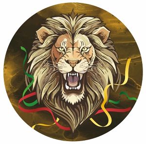 LEW II magnes z otwieraczem