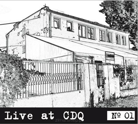 DUB SYNDICATE  Live at CDQ