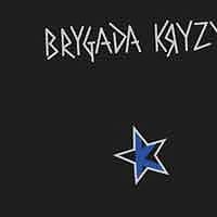 BRYGADA KRYZYS  Brygada kryzys